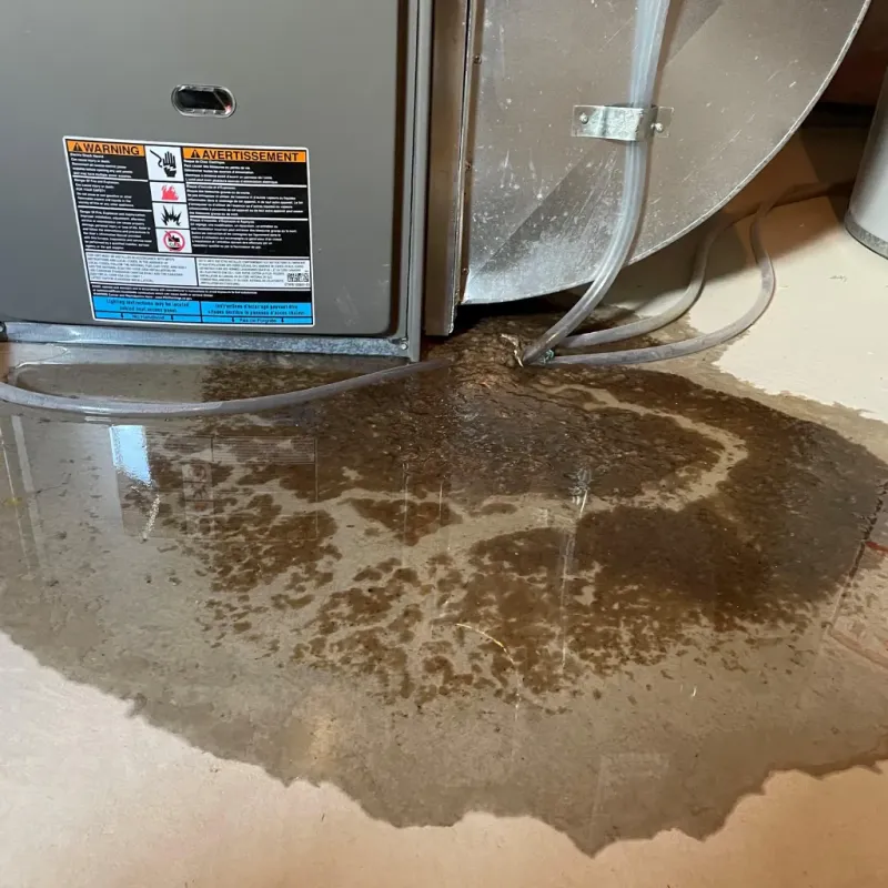 Appliance Leak Cleanup in Linden, AL